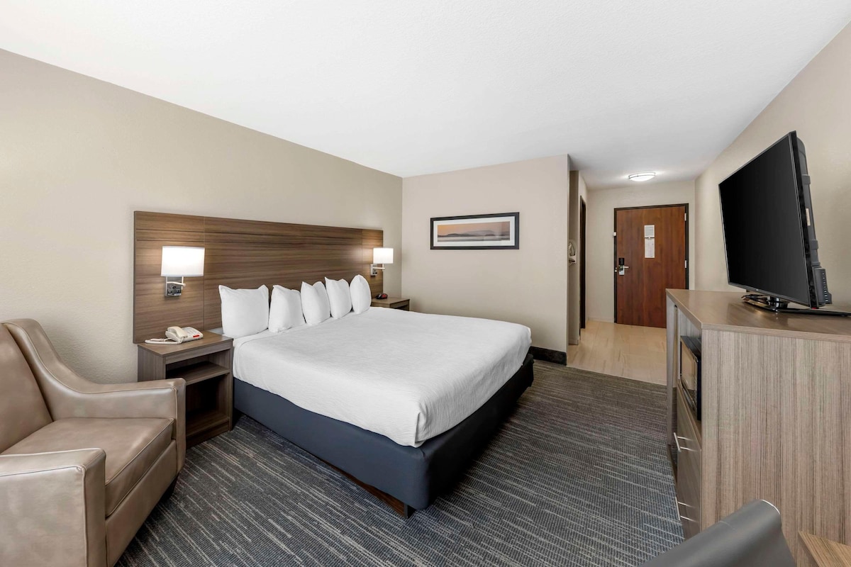 Une chambre d’hôtel avec un lit, un bureau, une chaise, une télévision et une porte.