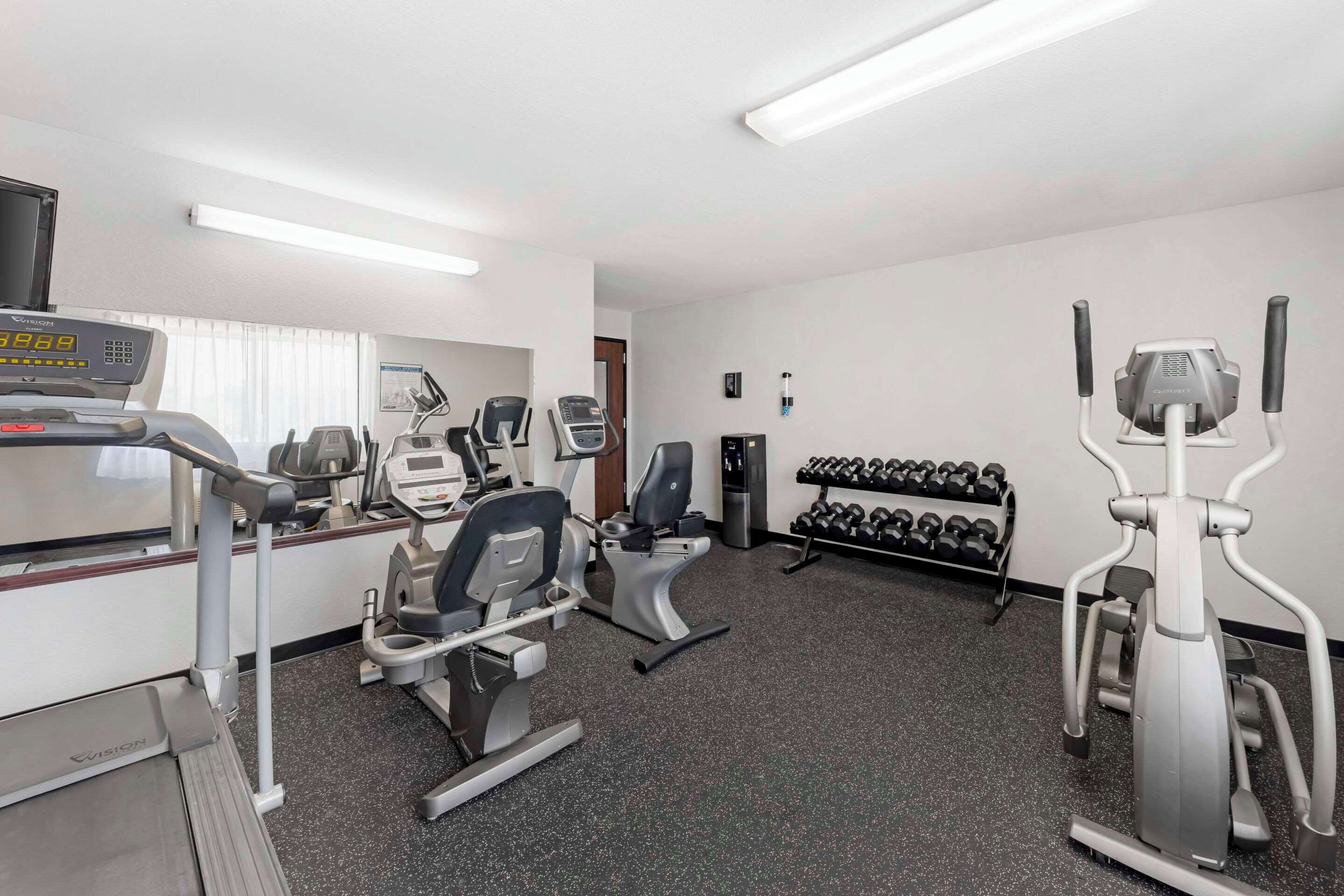 A gym with treadmills, elliptical machines, and a rack of dumbbells.
