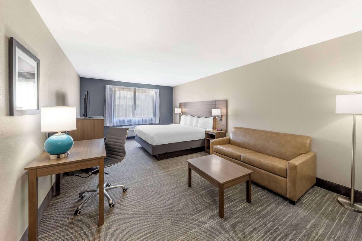Una habitación de hotel con cama, sofá, escritorio con lámpara, silla y lámpara de pie.