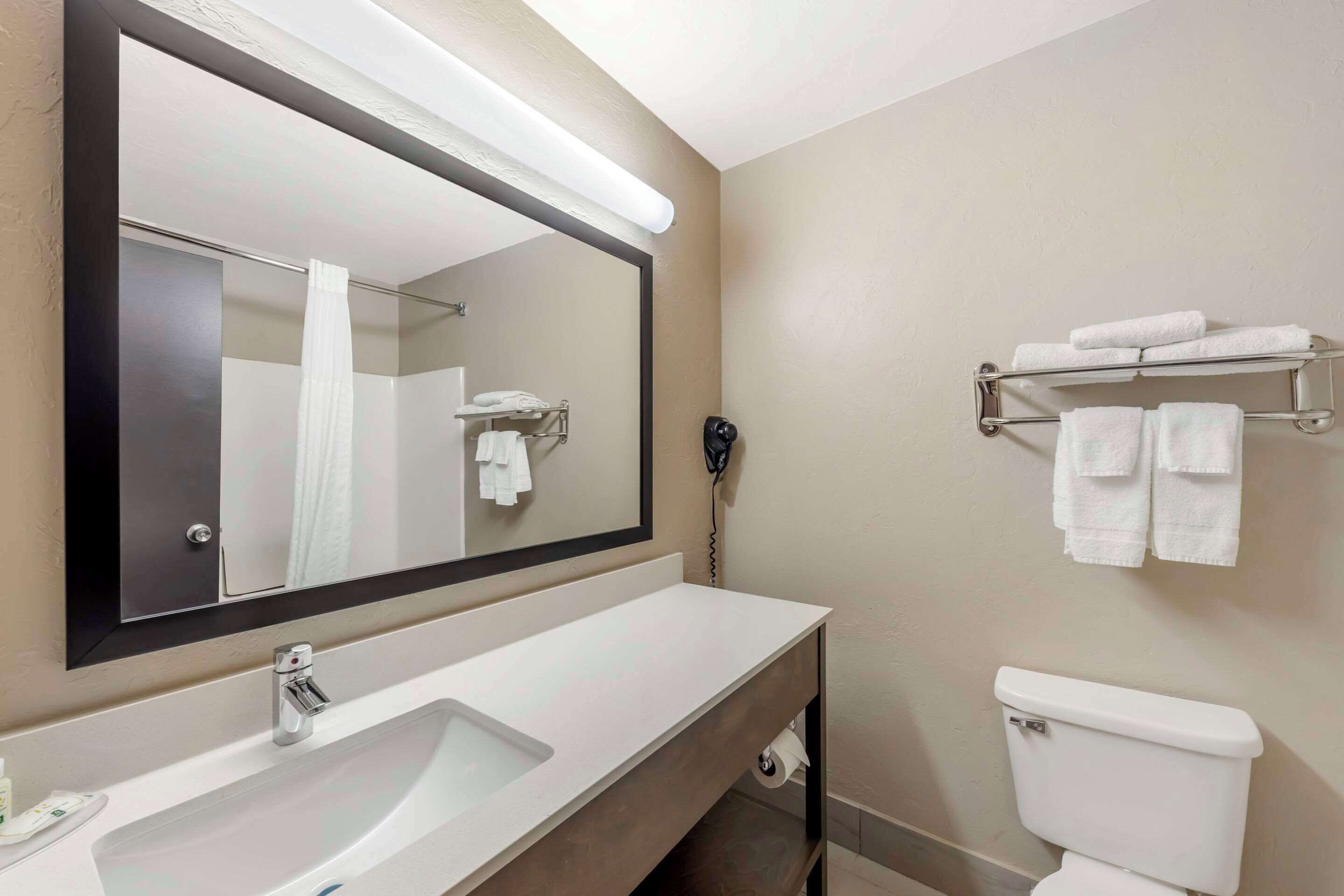A bathroom with a large mirror, a sink, a toilet, and a towel rack.