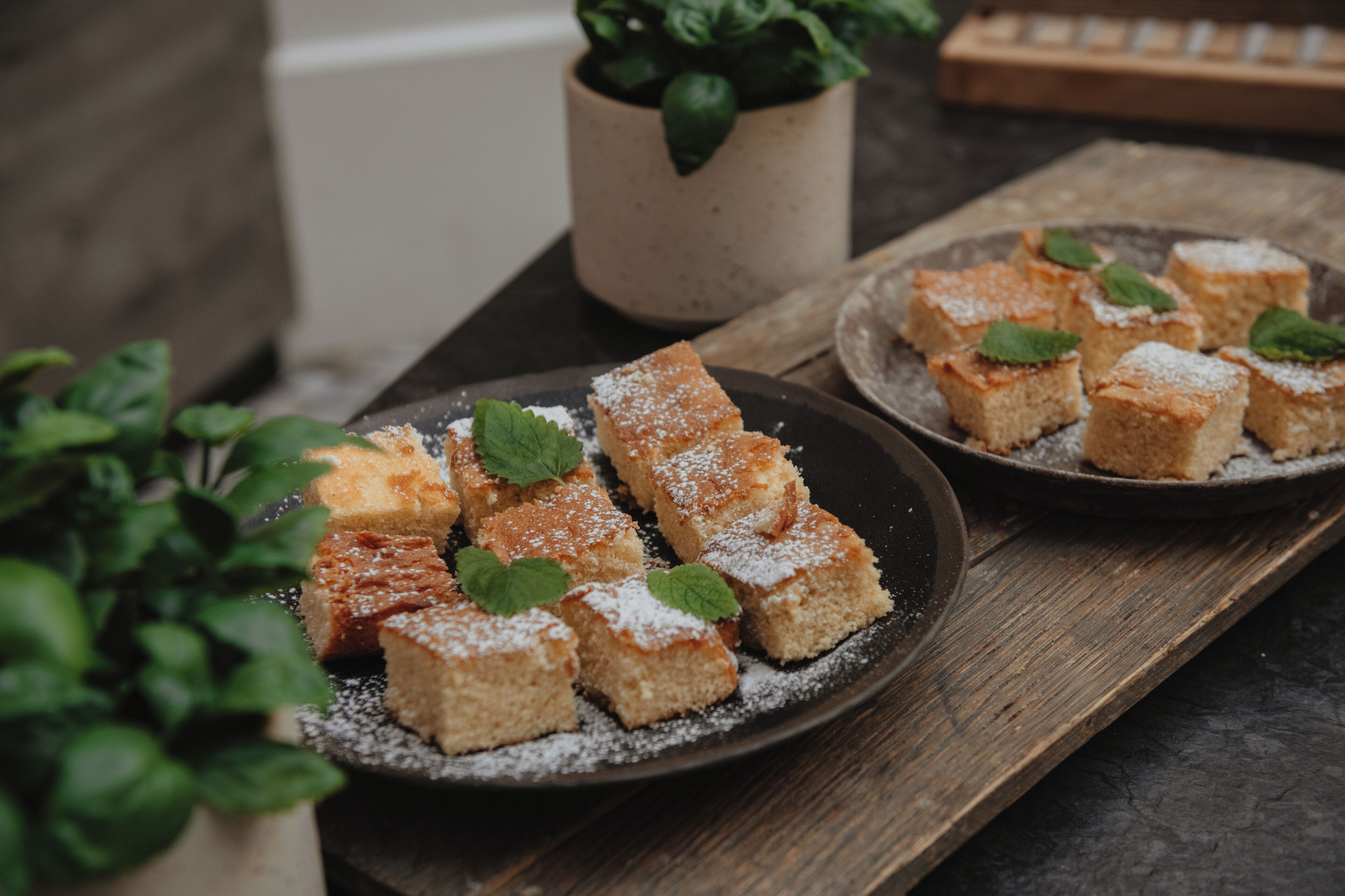 A dessert tray with square pieces of cake dusted with powdered sugar and garnished with mint leaves.