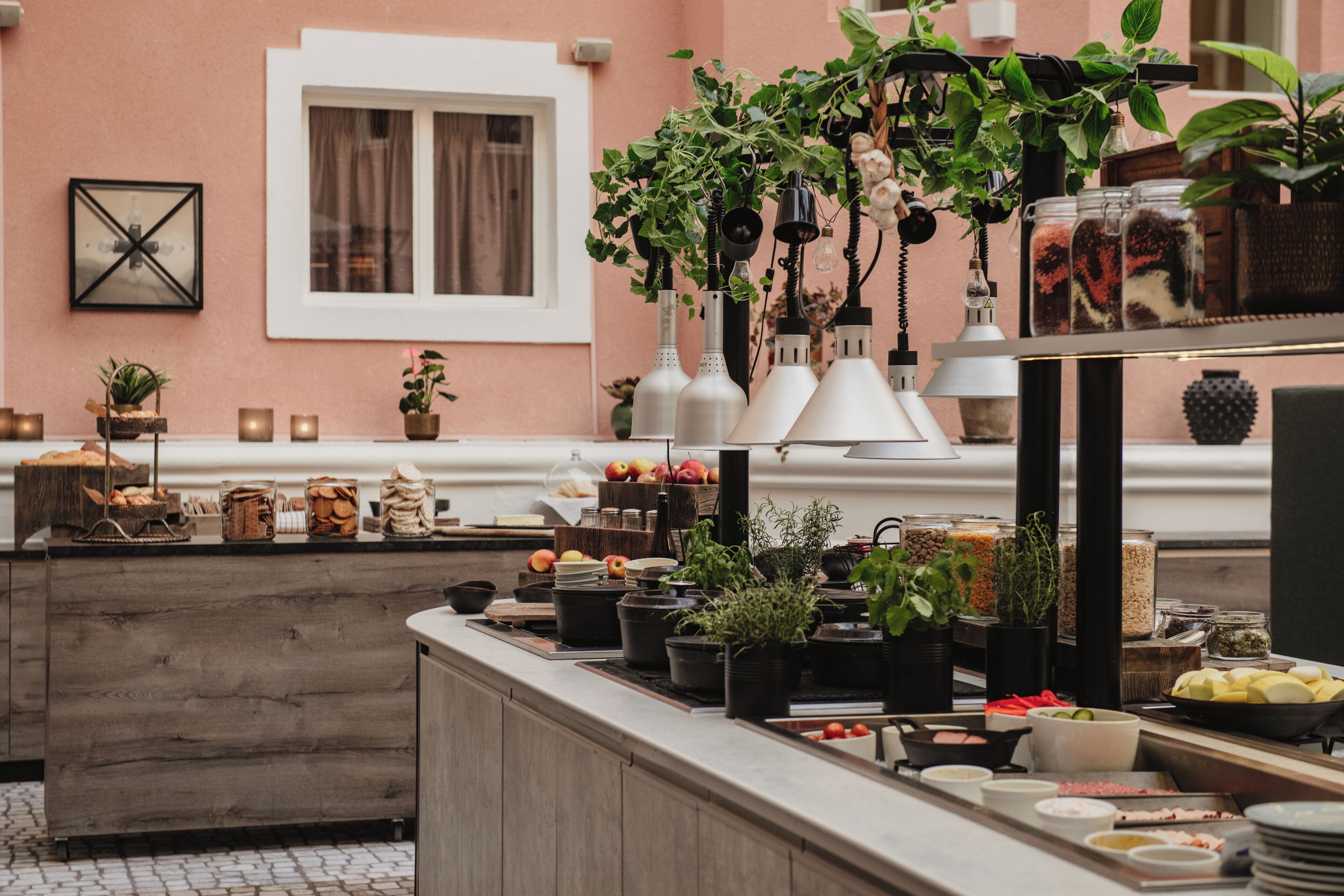 A kitchen counter with various food items, plants, and kitchenware.
