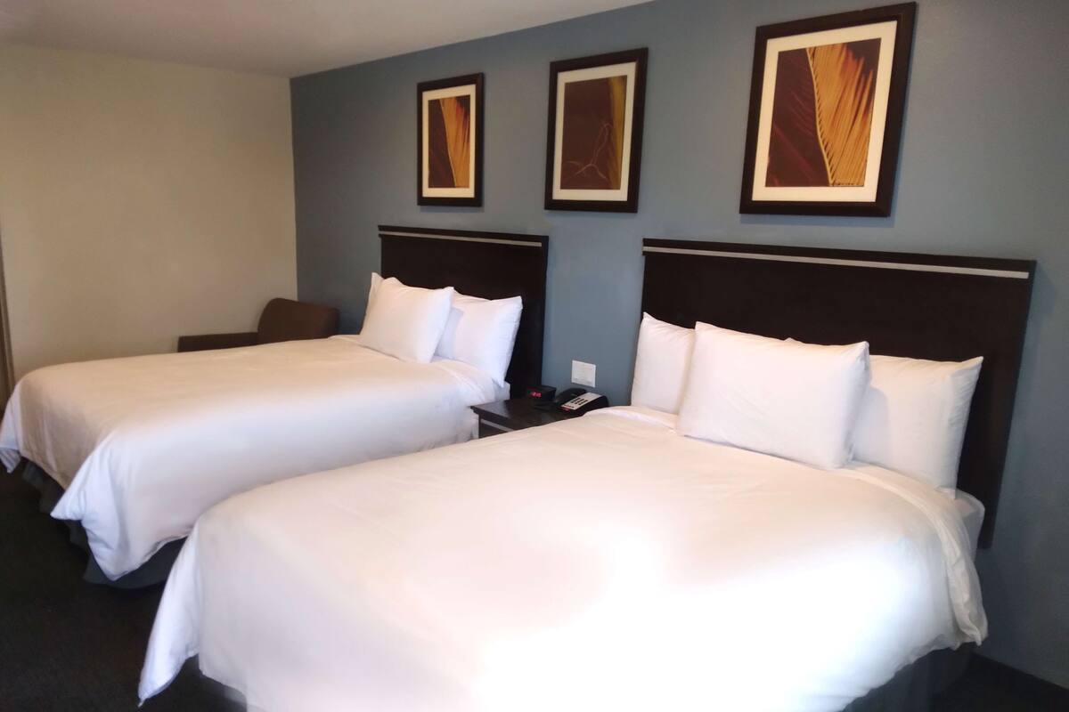 A hotel room with two single beds, a nightstand with a phone, and three framed pictures on the wall.