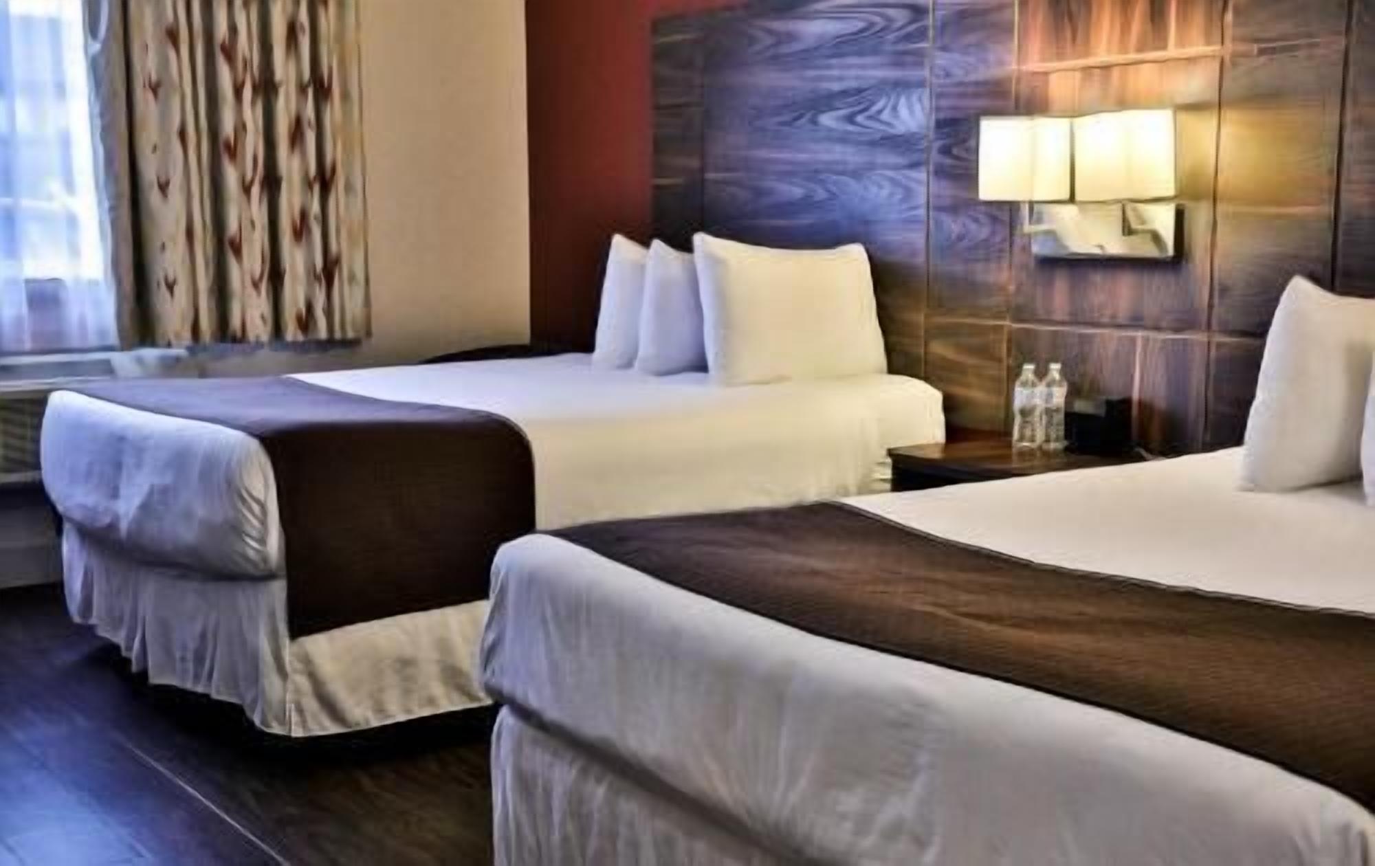 舒適加層、獨特裝潢、書桌、遮光布/窗簾