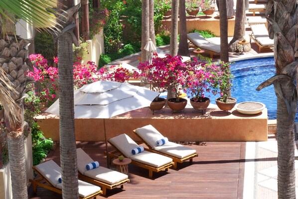 Outdoor pool, pool umbrellas, pool loungers