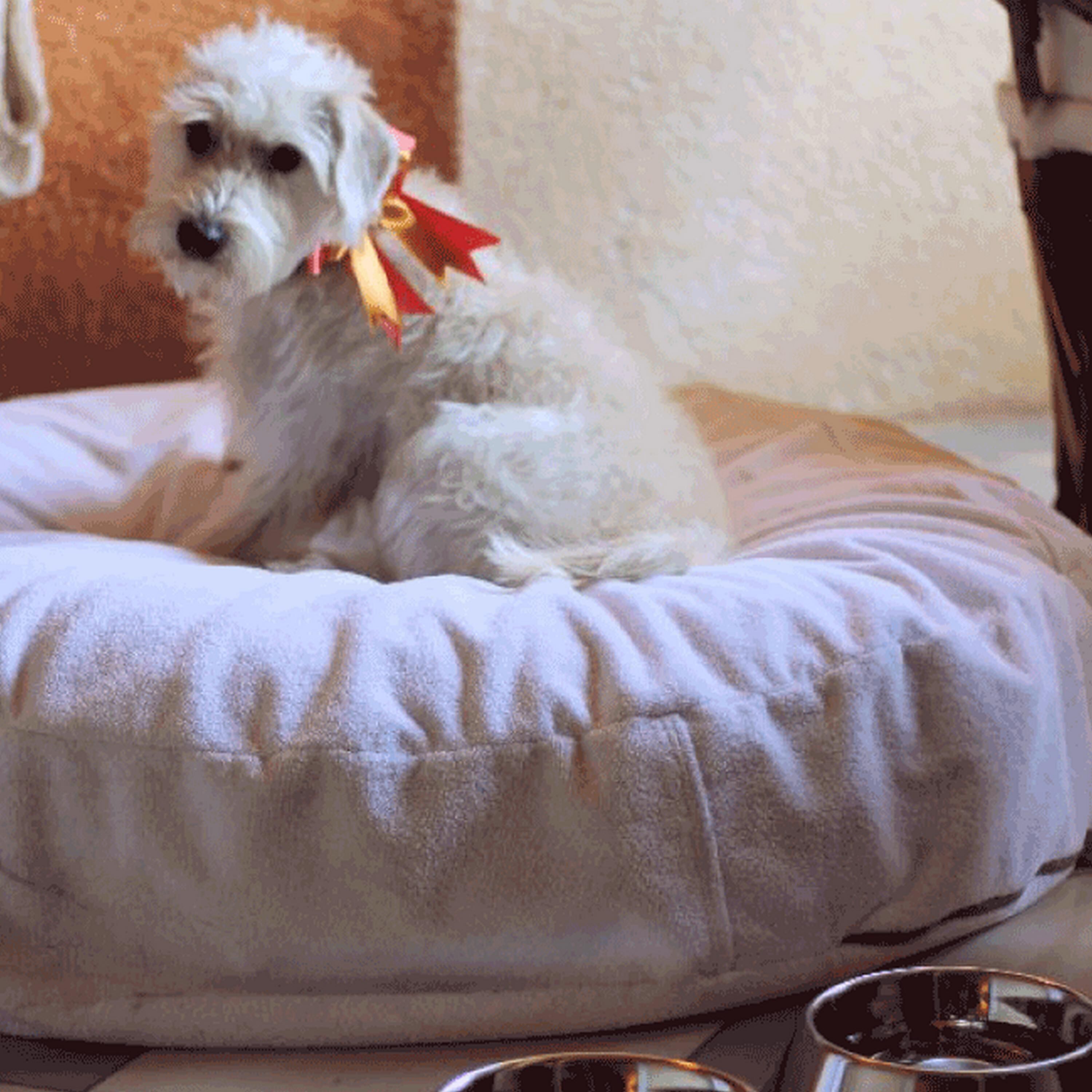 Photo - Casa Natalia Boutique Hotel Adults Only