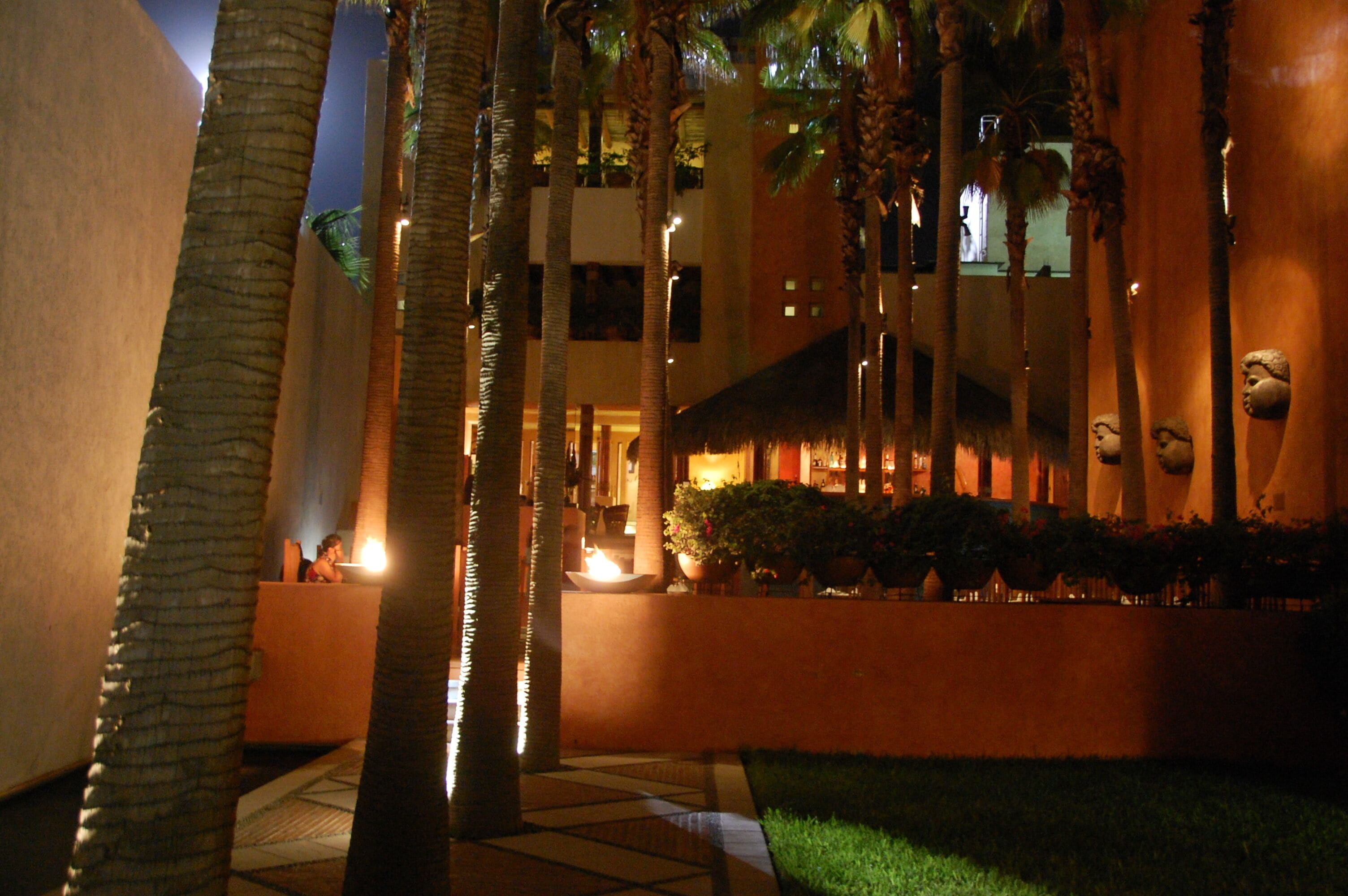 A well-lit outdoor area with palm trees, a thatched-roof structure, and a building with illuminated windows.