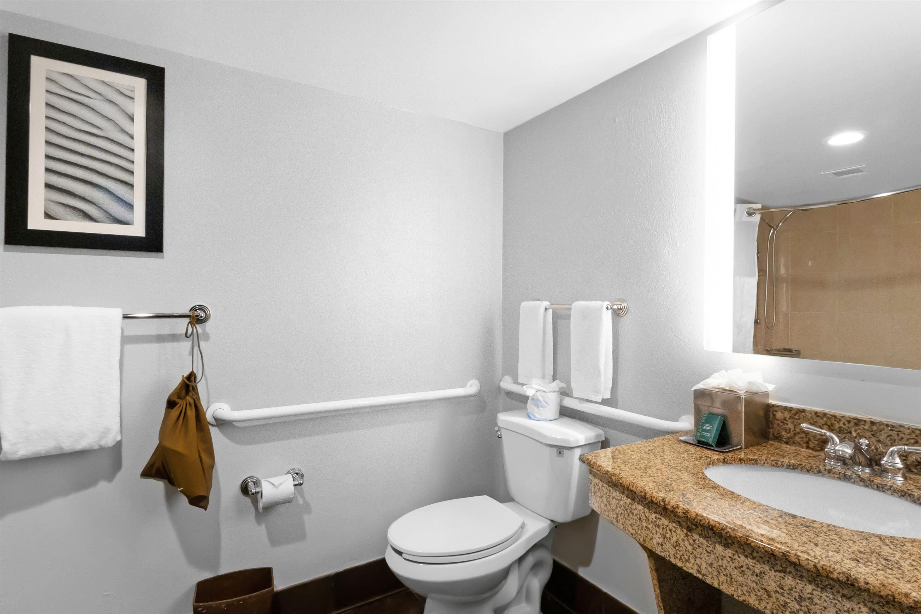 A bathroom with a toilet, a sink, a towel rack, and a framed picture on the wall.