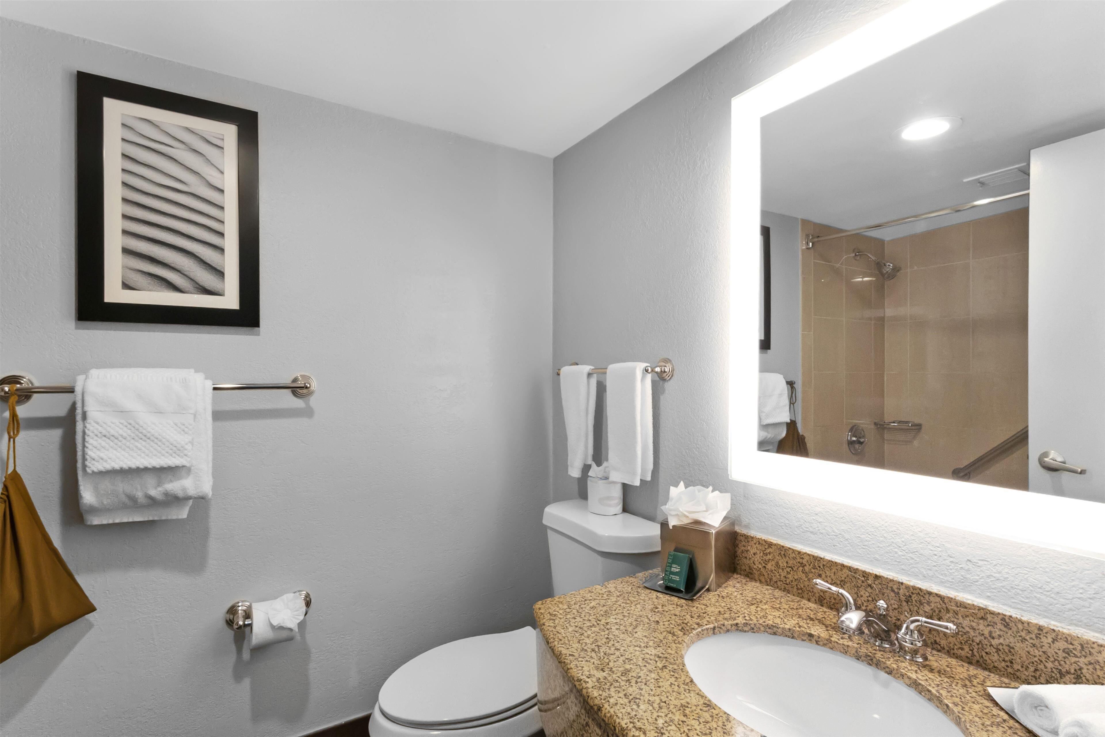 A modern bathroom with a large mirror, a granite countertop sink, and a toilet.