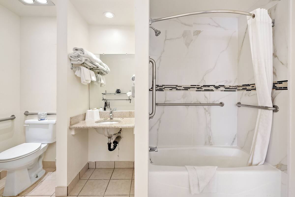 Une salle de bain avec des toilettes, un lavabo et une douche.