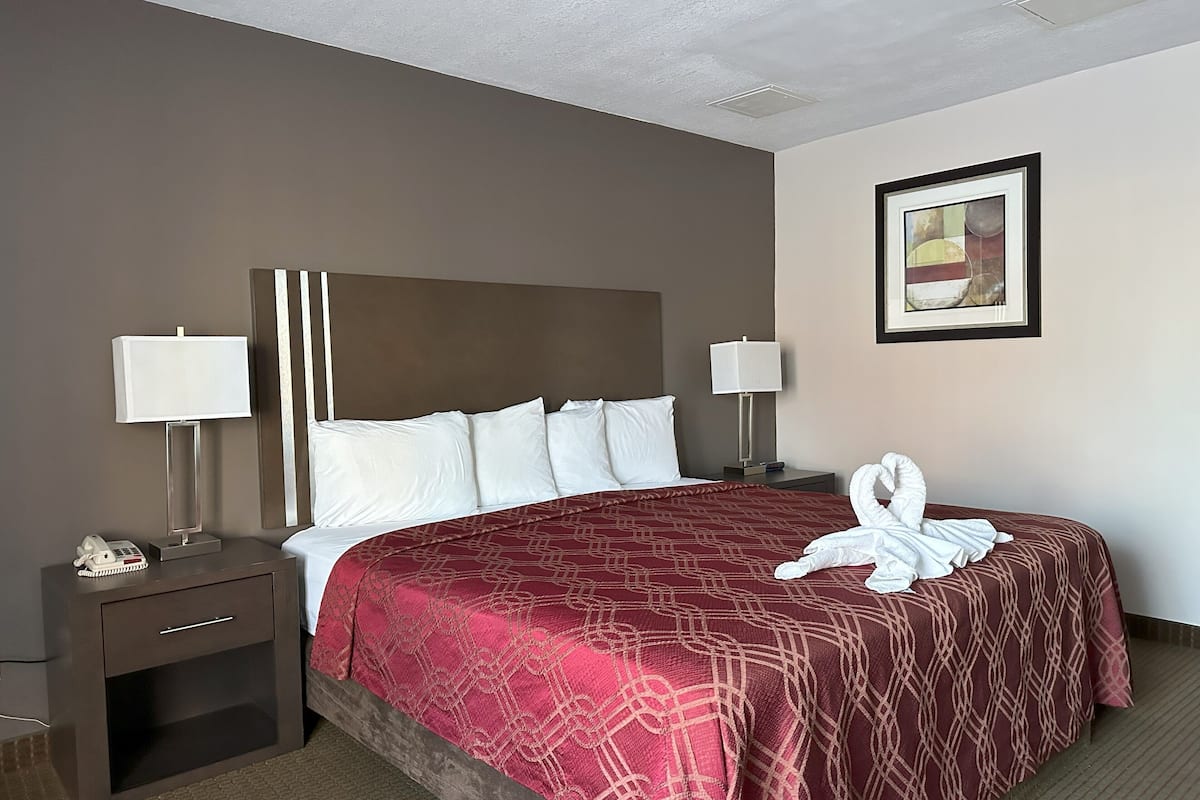 Standard Room, 1 King Bed, Non Smoking | 1 bedroom, pillow-top beds, laptop workspace, blackout curtains