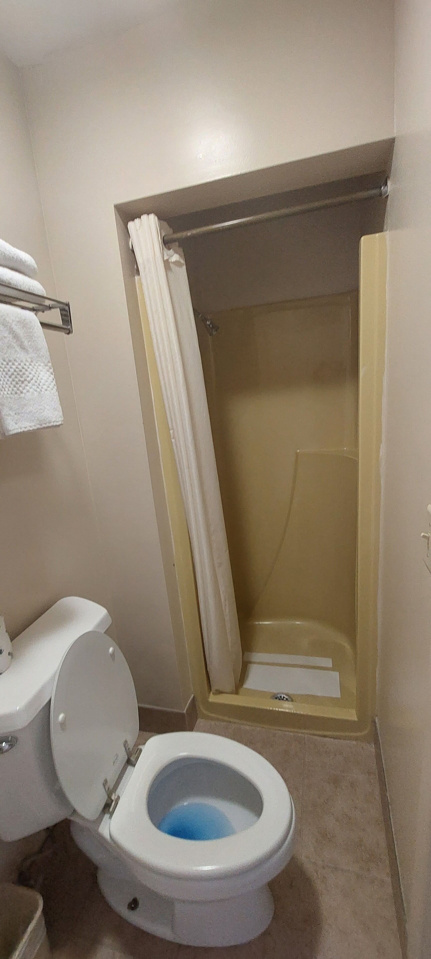 A bathroom with a toilet, a shower, and a bathtub.