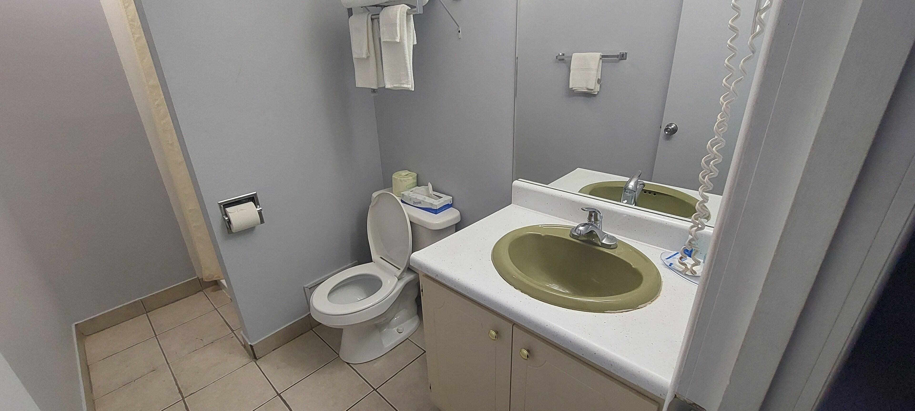 Ein Badezimmer mit Toilette, Waschbecken, Spiegel und Handtuchhalter.