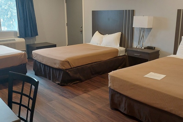 Standard Room, Multiple Beds, Non Smoking | Blackout drapes, iron/ironing board, WiFi (free), bed sheets