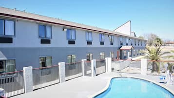 Seasonal outdoor pool, pool umbrellas, sun loungers