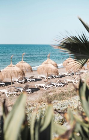 Beach nearby, free beach shuttle, beach cabanas, sun-loungers
