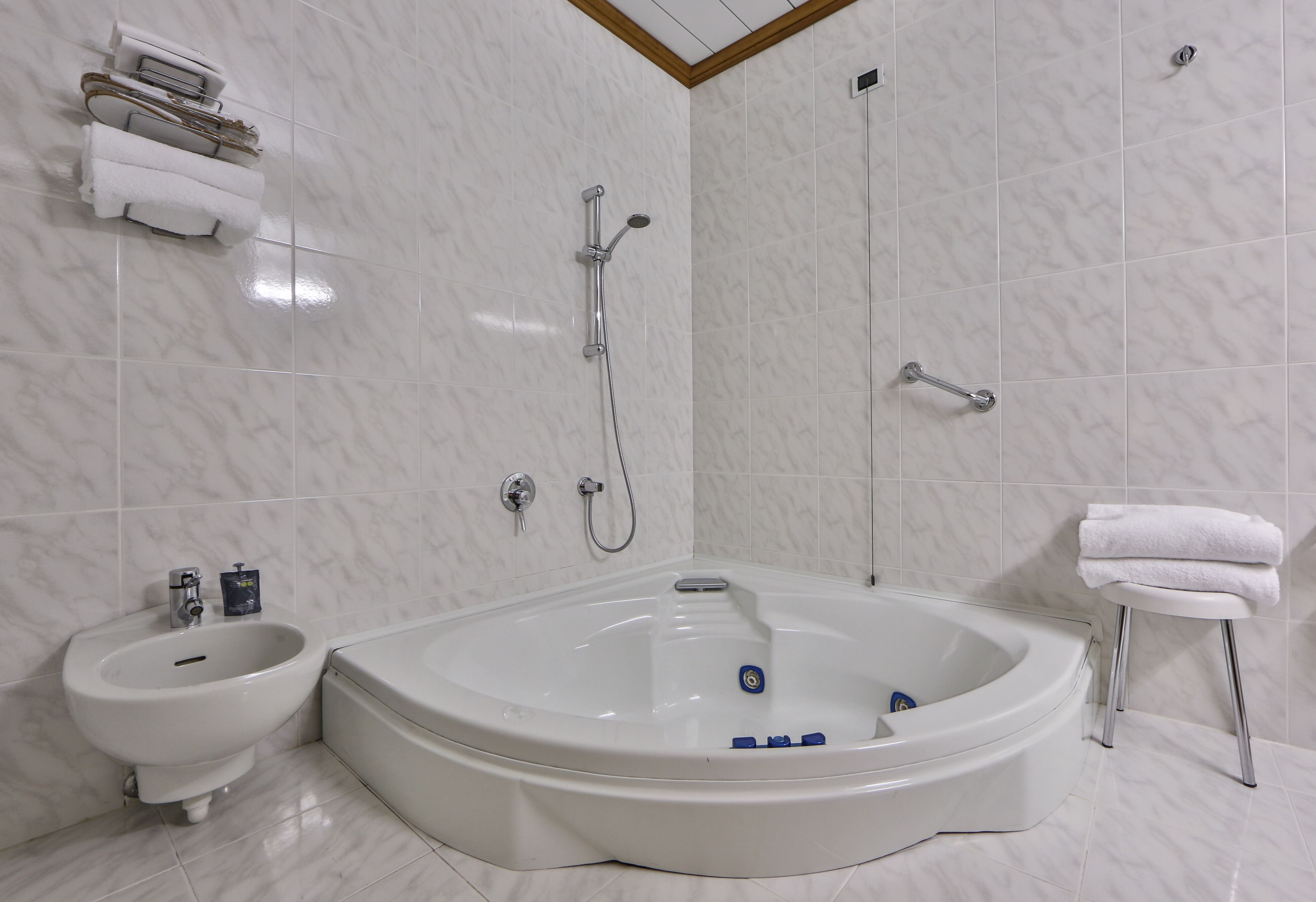 Un bagno con una vasca da bagno ampia, un bidet e una doccia.