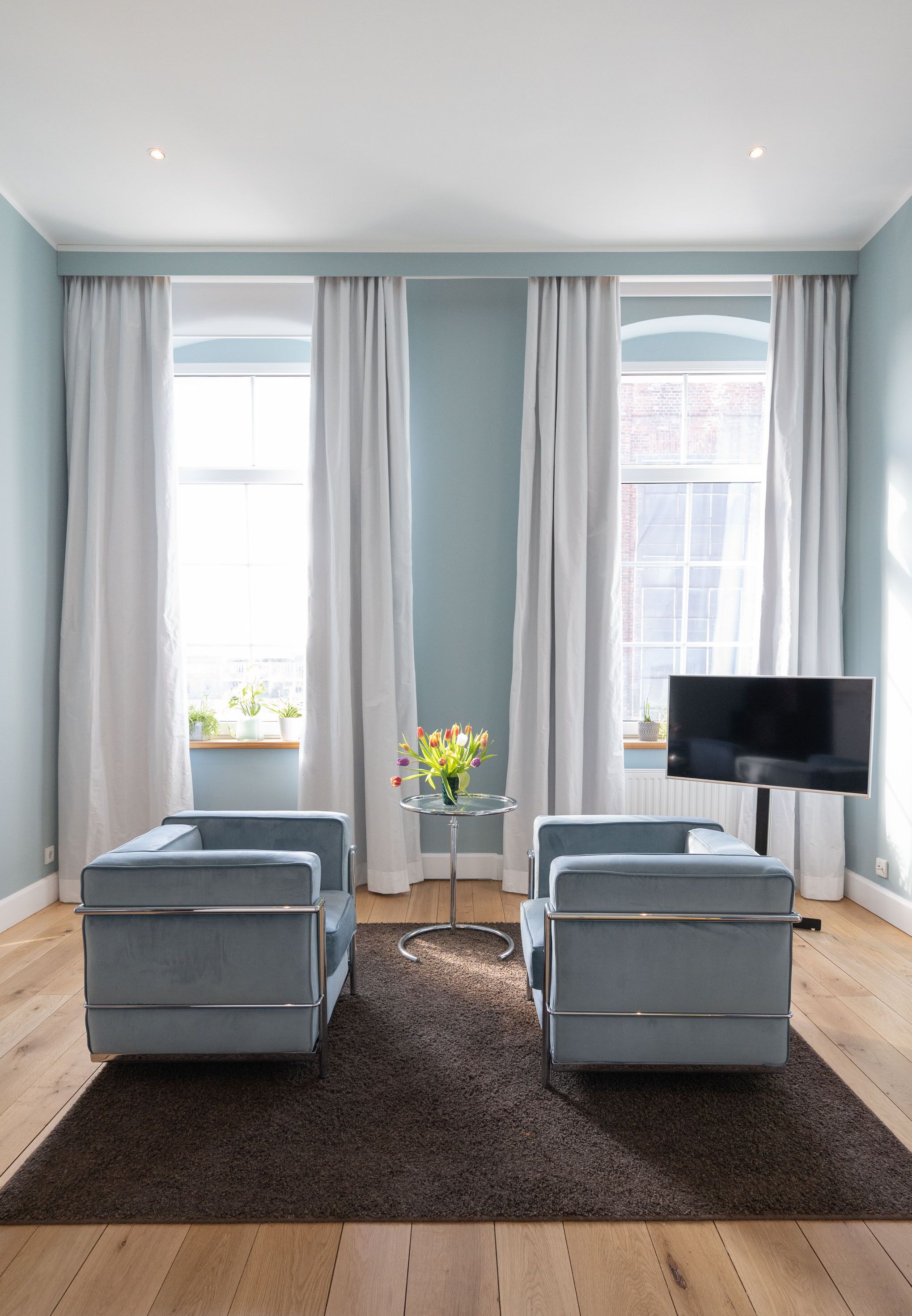 deluxe apartment | living area | tv, offices