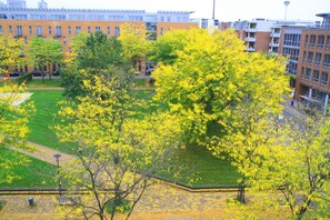 Vue depuis l’hébergement