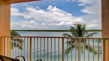 A balcony with a view of a beach and palm trees.
