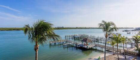 A beach with clear water, palm trees, and a pier with umbrellas.