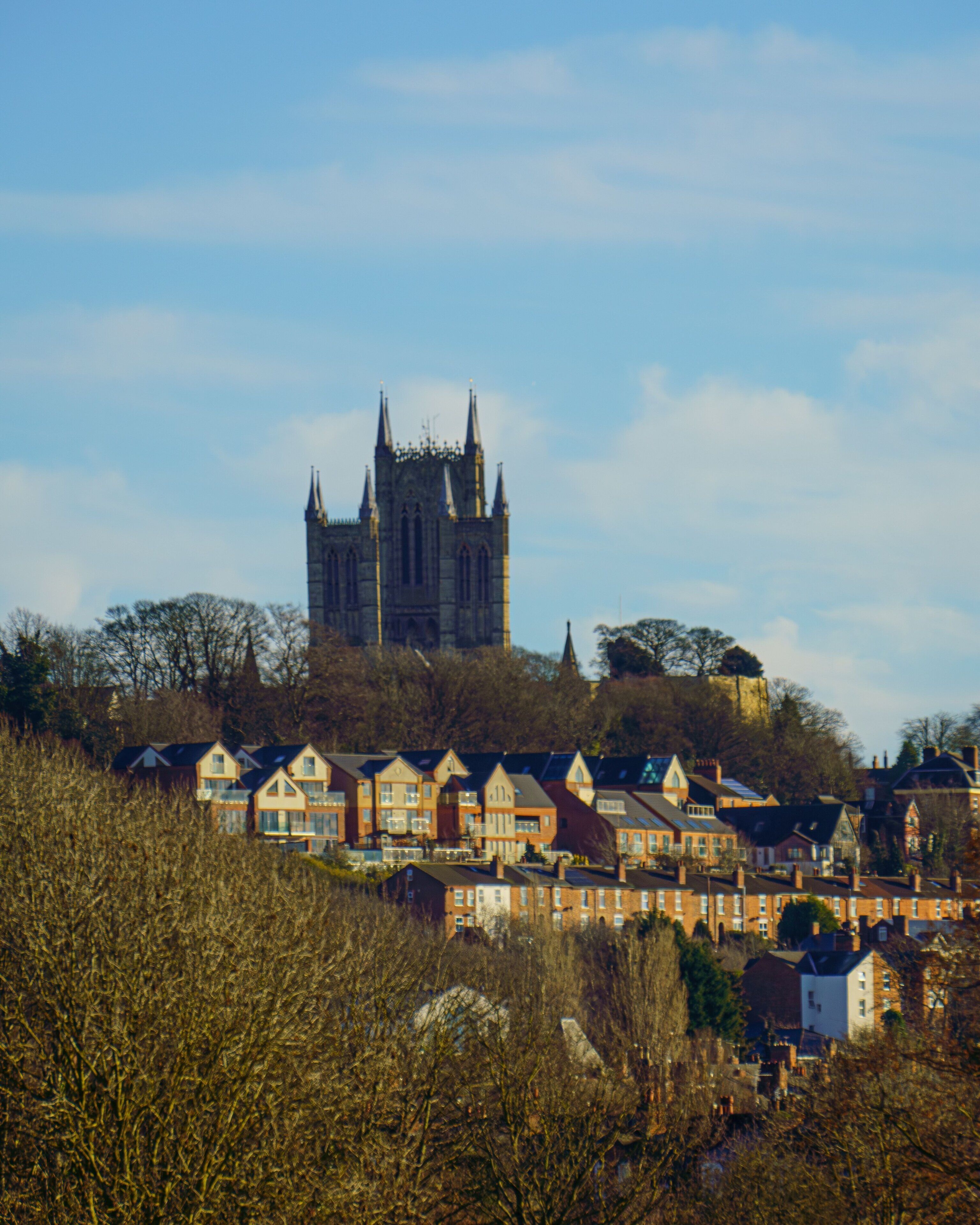 A historic cathedral with twin spires, surrounded by residential buildings.