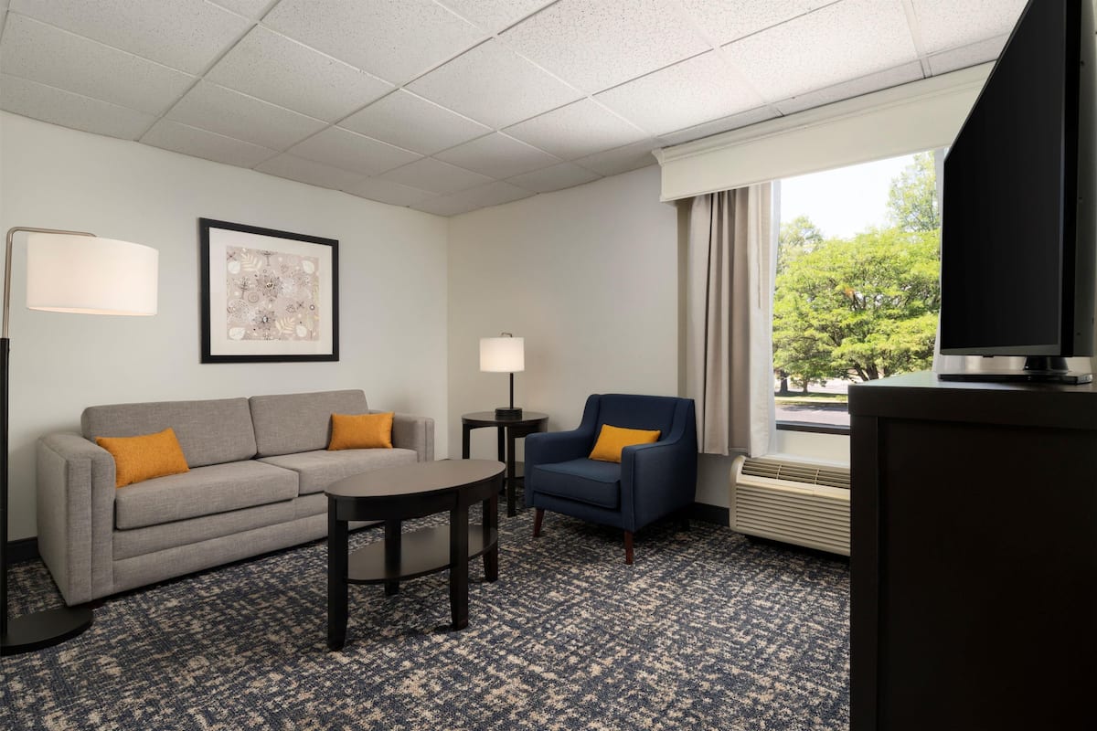 Suite, 1 King Bed, Non Smoking | Living area | Flat-screen TV
