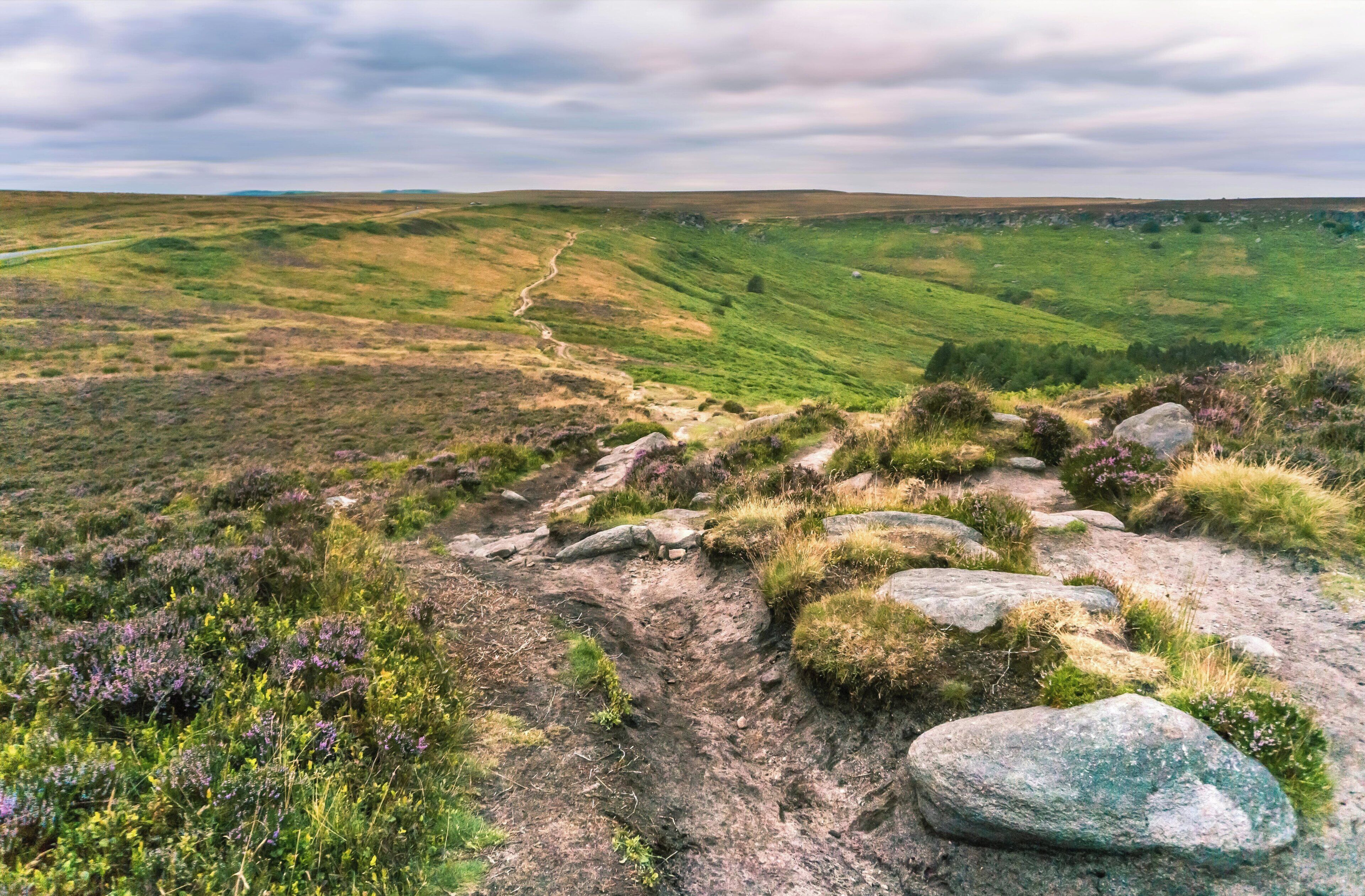 A panoramic view of a hilly landscape with a winding path.