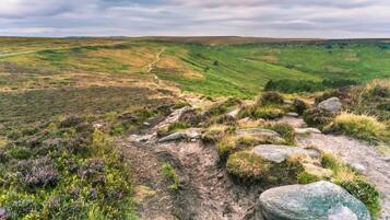 A panoramic view of a hilly landscape with a winding path.