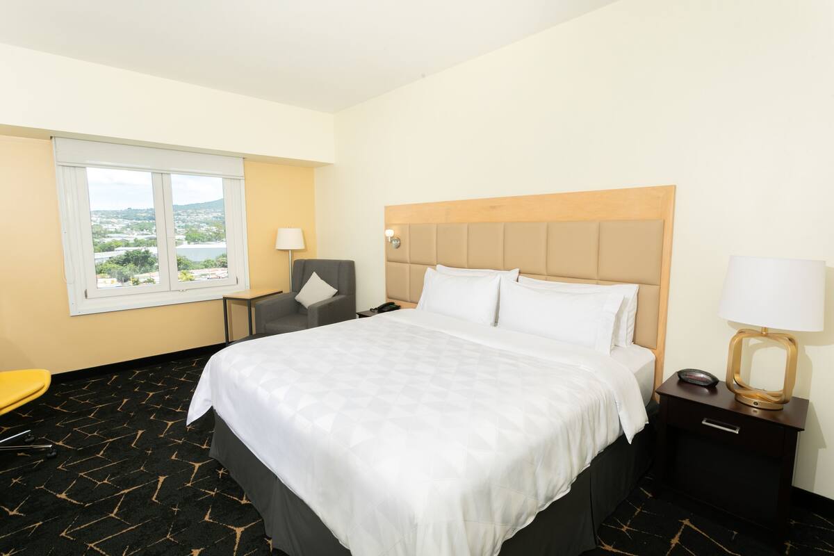 Habitación de hotel con una cama grande, una silla, una mesita de noche y ventana con vista a la ciudad.