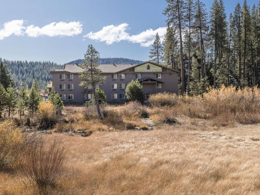 A multi-story building with a green roof, surrounded by tall pine trees and a dry grassy field.