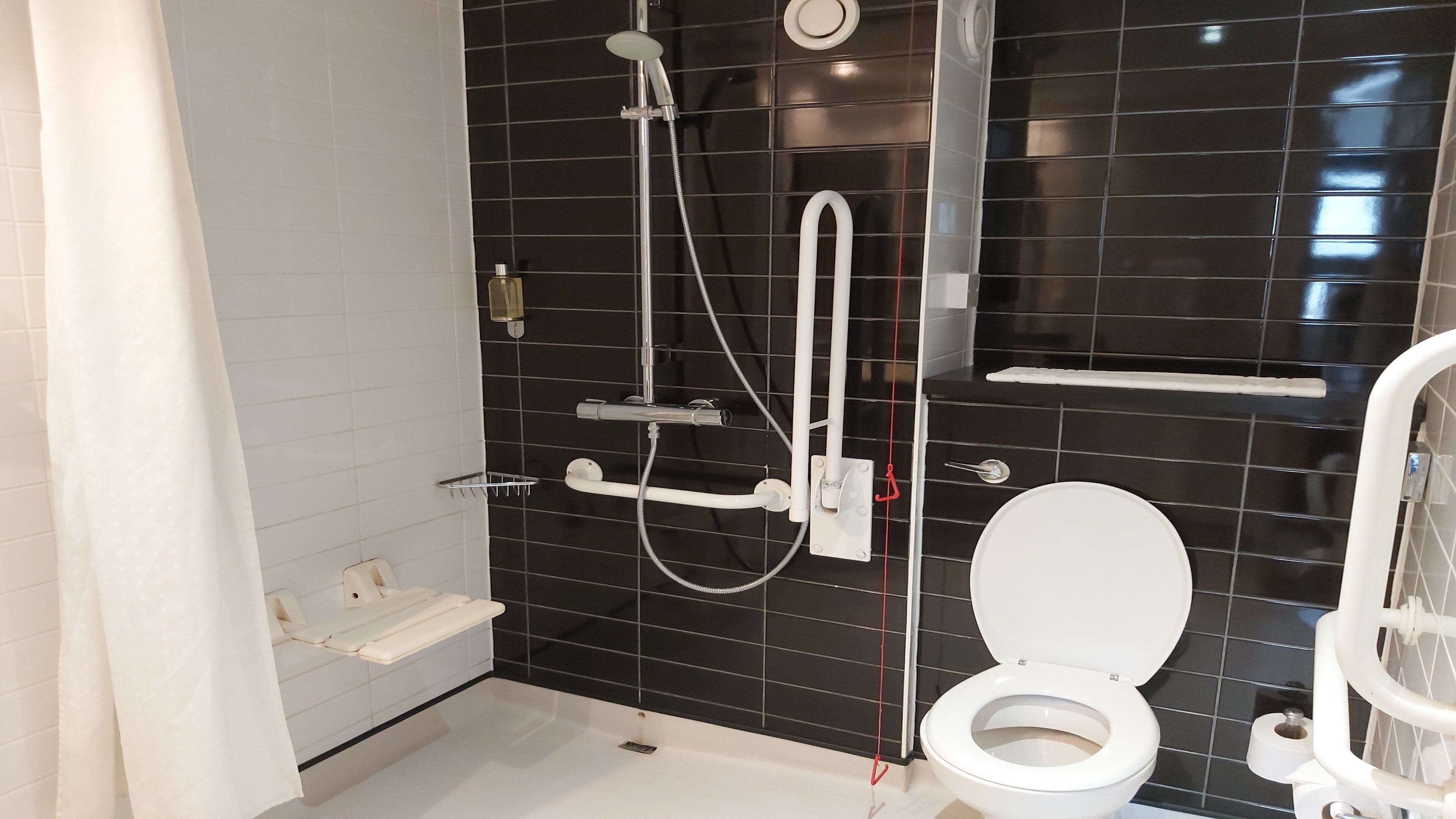 room, 1 double bed, accessible | bathroom | shower, eco-friendly toiletries, hair dryer, towels