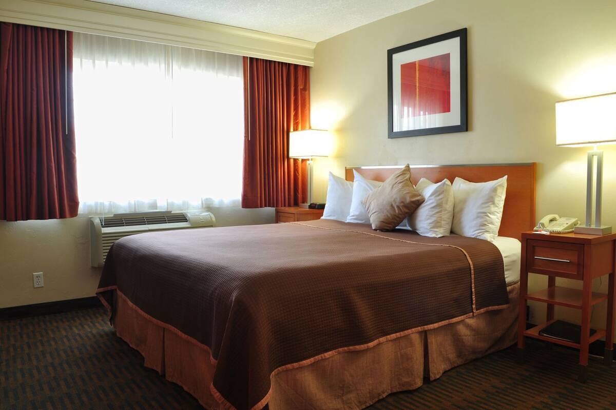 A hotel room with a large bed, two bedside lamps, a telephone, and a framed picture on the wall.