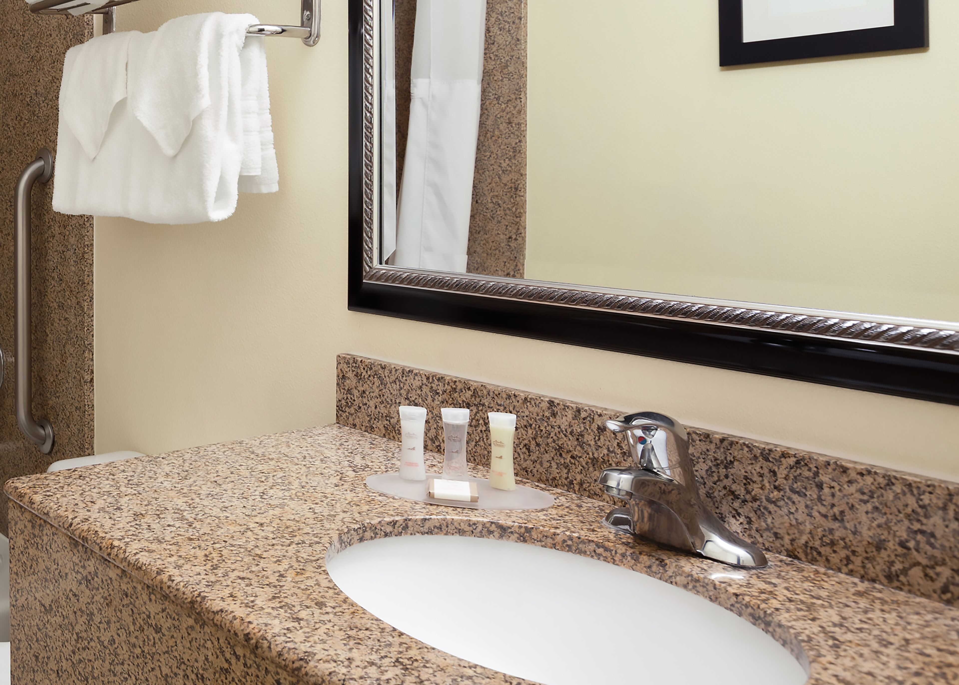 combined shower/bathtub, free toiletries, hair dryer, towels