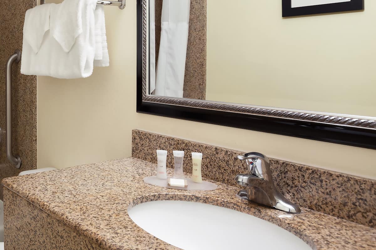 combined shower/bathtub, free toiletries, hair dryer, towels