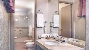 Combined shower/bathtub, free toiletries, hair dryer, bidet