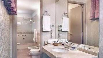 Combined shower/tub, free toiletries, hair dryer, bidet