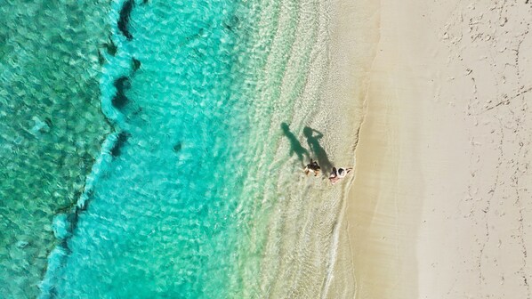 Private beach, beach cabanas, sun-loungers, beach umbrellas - British Colonial - Nassau  (Nassau)