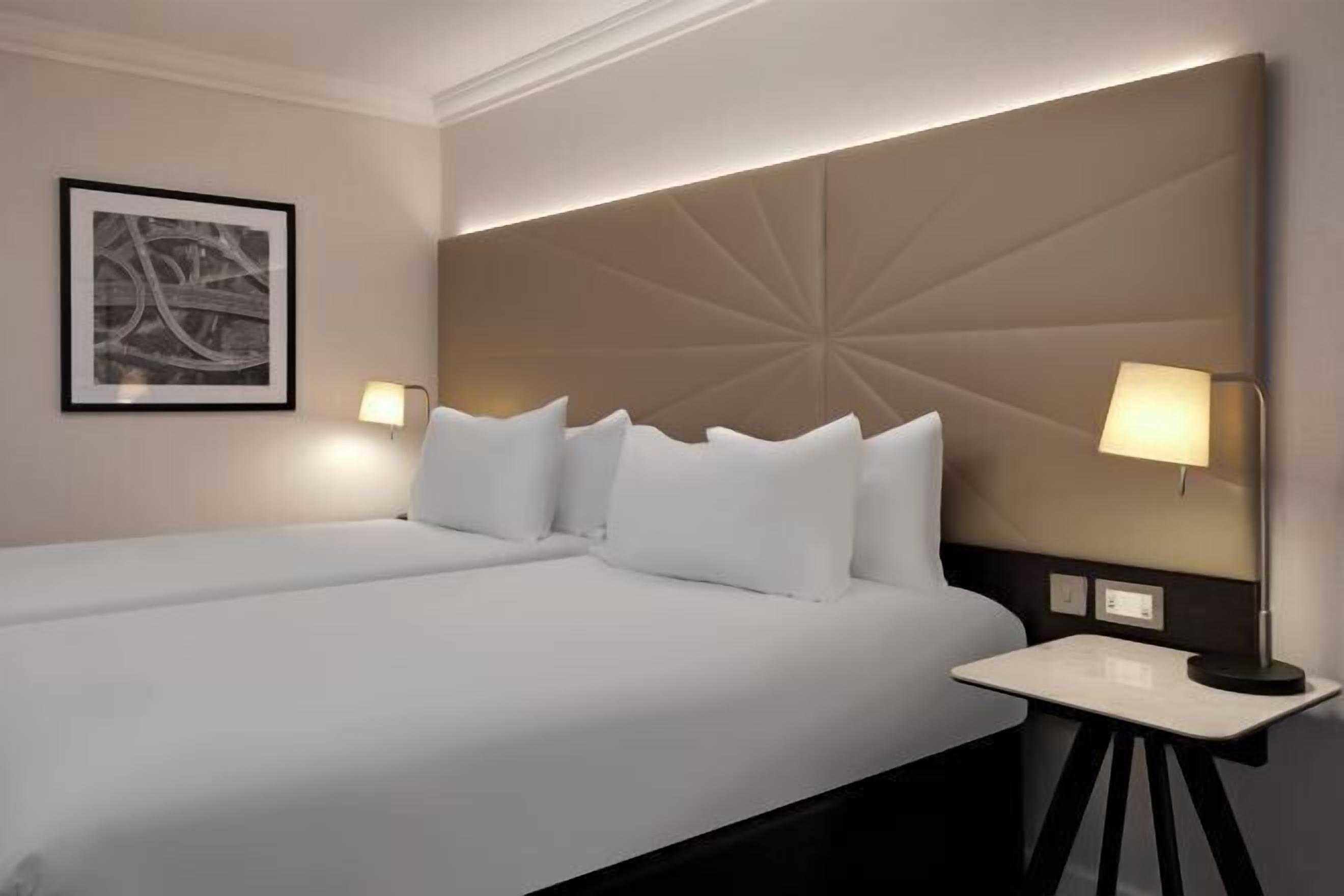 Hypo-allergenic bedding, in-room safe, individually decorated, desk