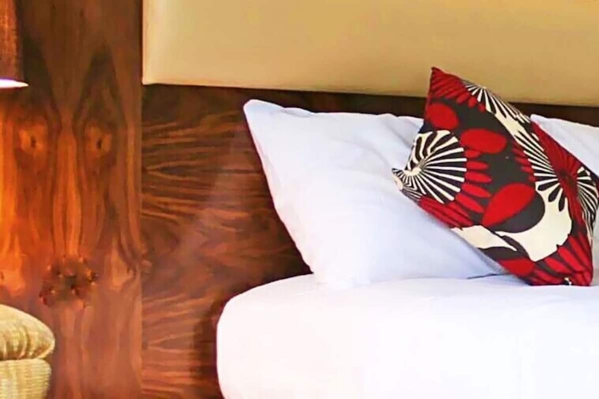 Habitación individual estándar | Escritorio, tabla de planchar con plancha, wifi gratis y ropa de cama