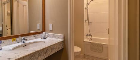 A bathroom with a marble sink, a toilet, and a shower.