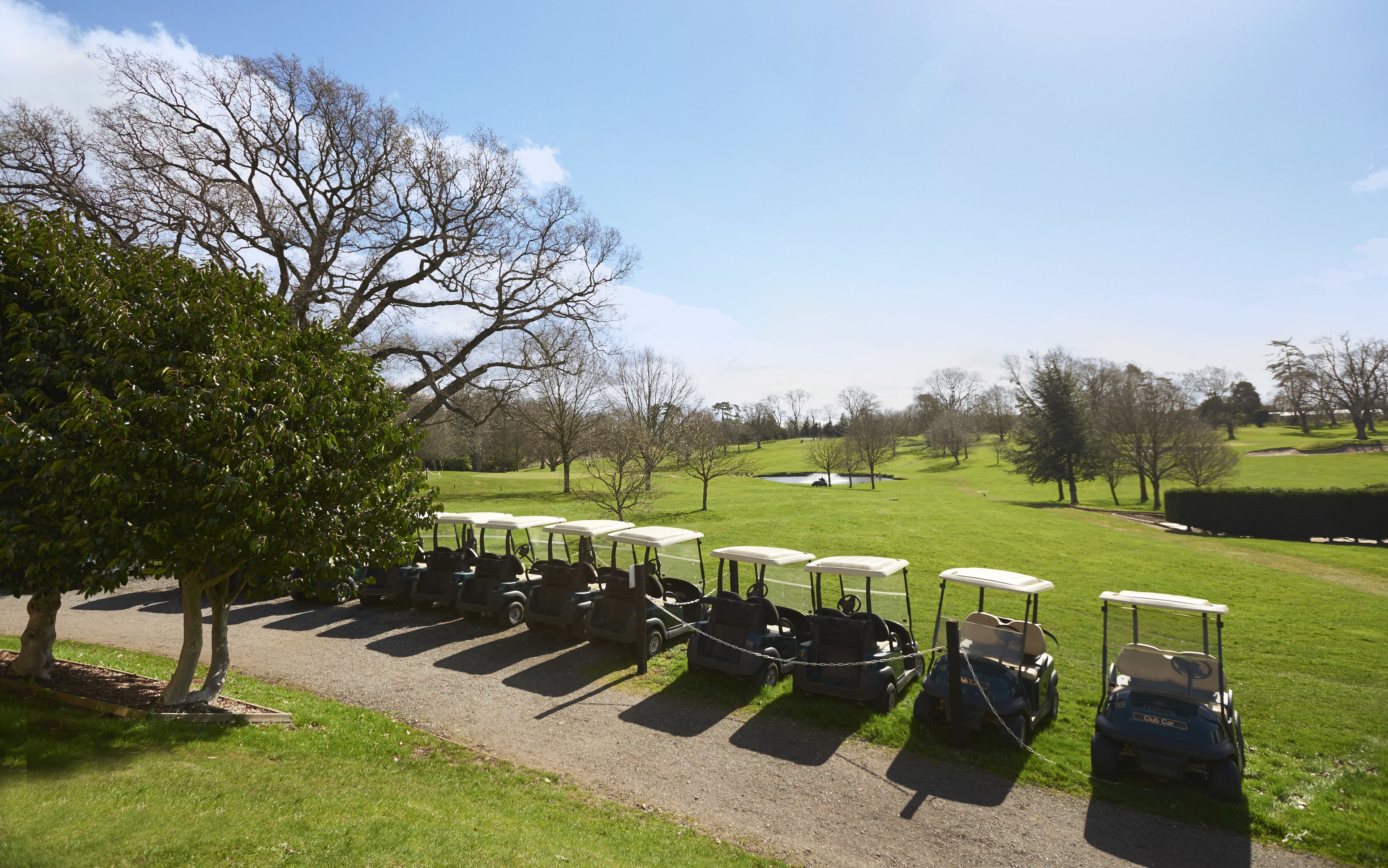 A row of golf carts parked on a gravel path with a grassy field and trees in the background.