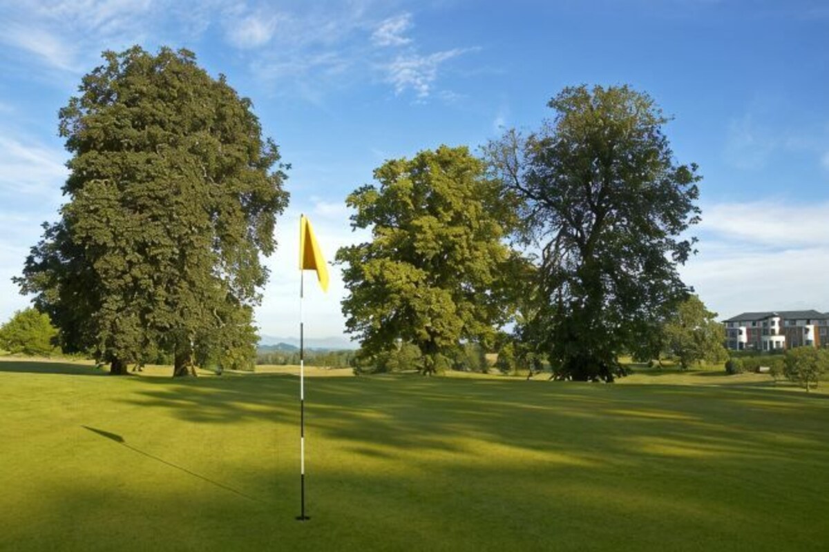 Een golfbaan met een vlaggenstok, bomen en een gebouw op de achtergrond.