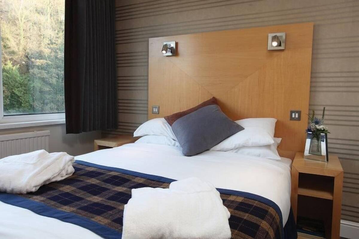 A hotel room with a large bed, two bedside tables, a window with curtains, and a view of trees.