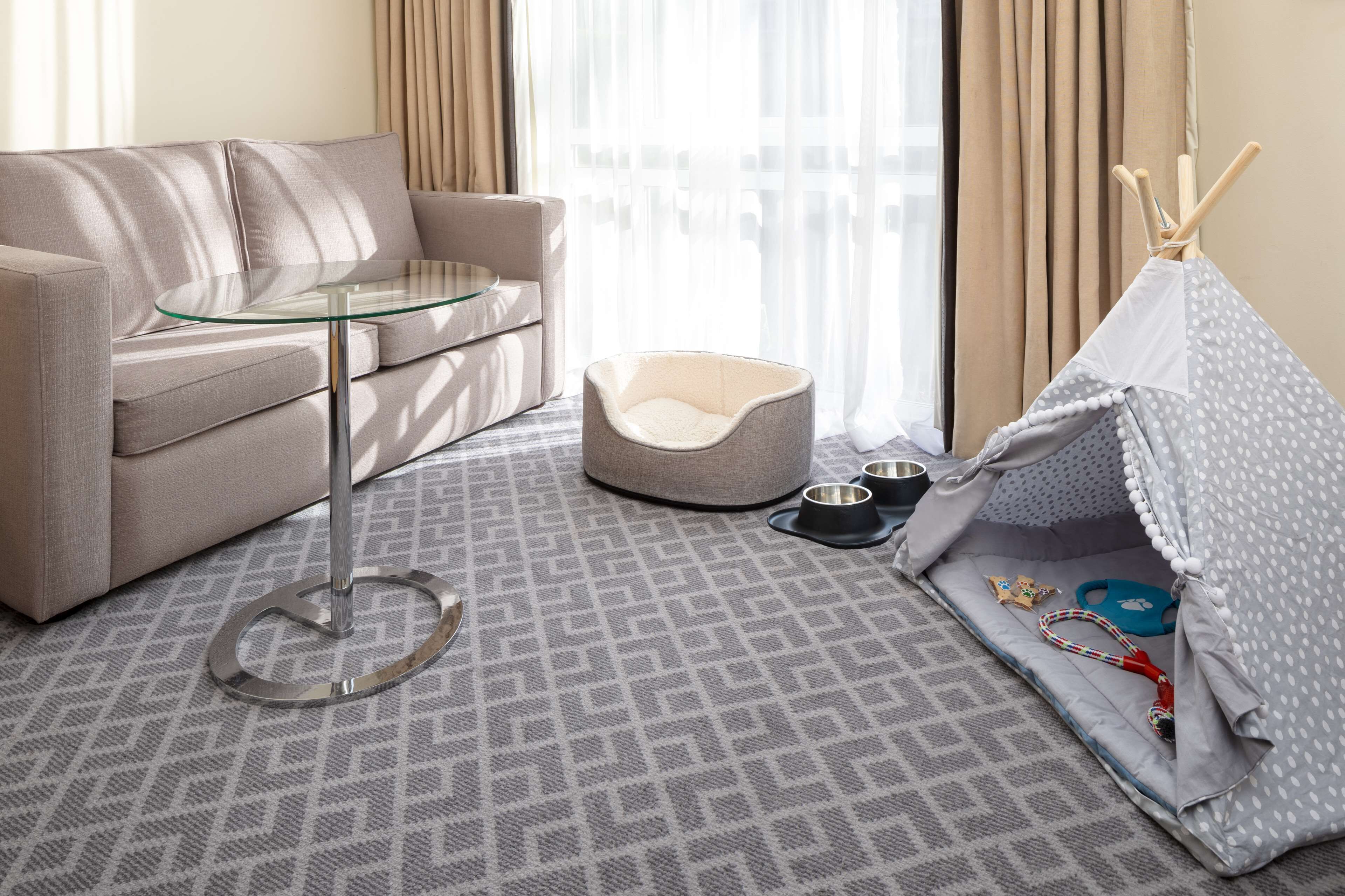 pet-friendly amenities