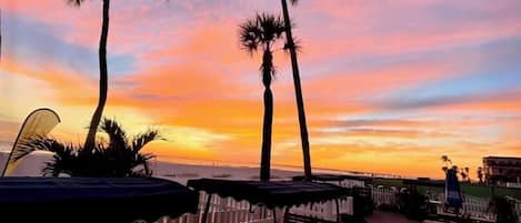 A beachside patio with wooden chairs and tables, palm trees, and a sunset view.