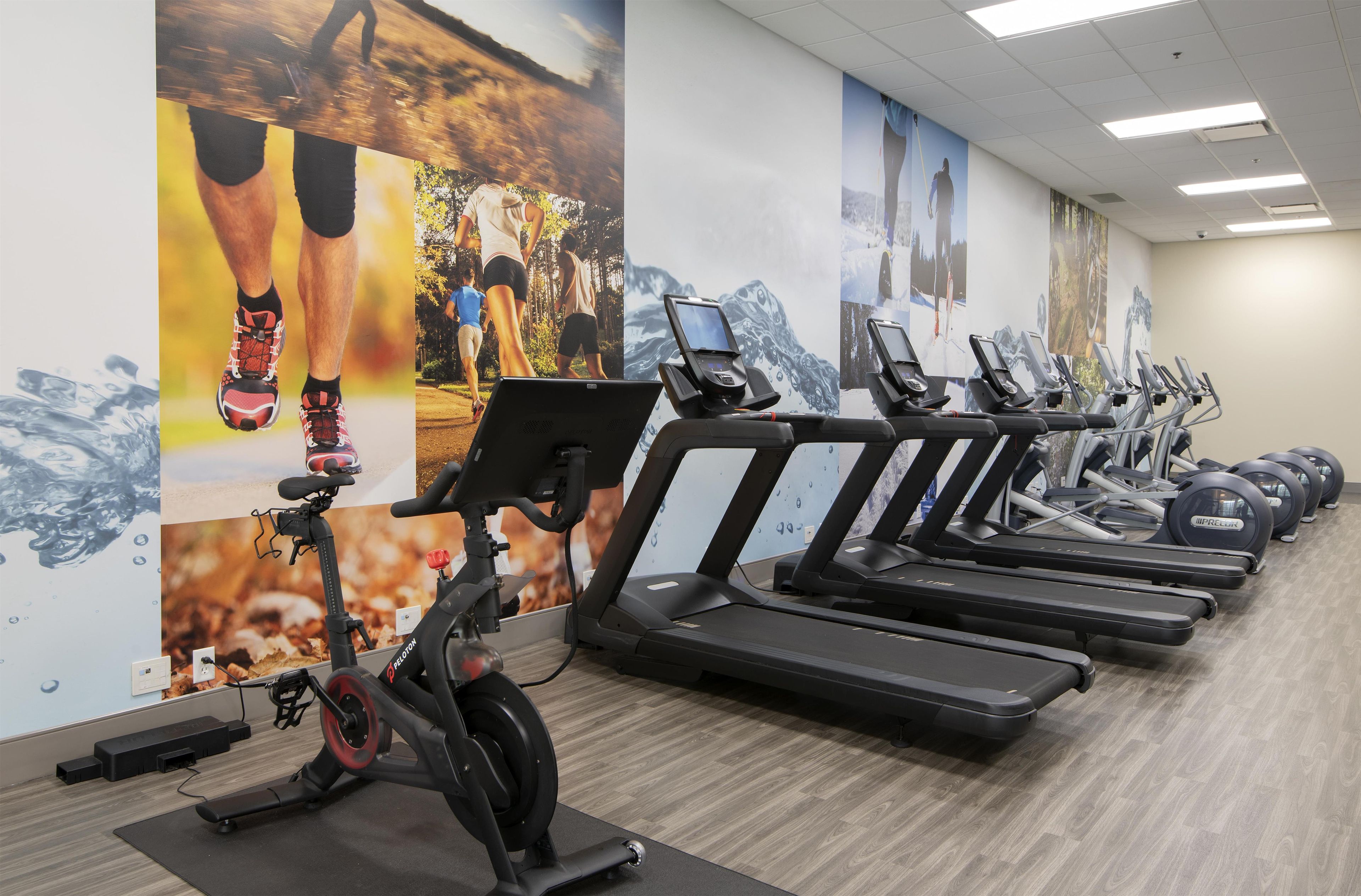 Un gimnasio con varias cintas de correr y una máquina elíptica.