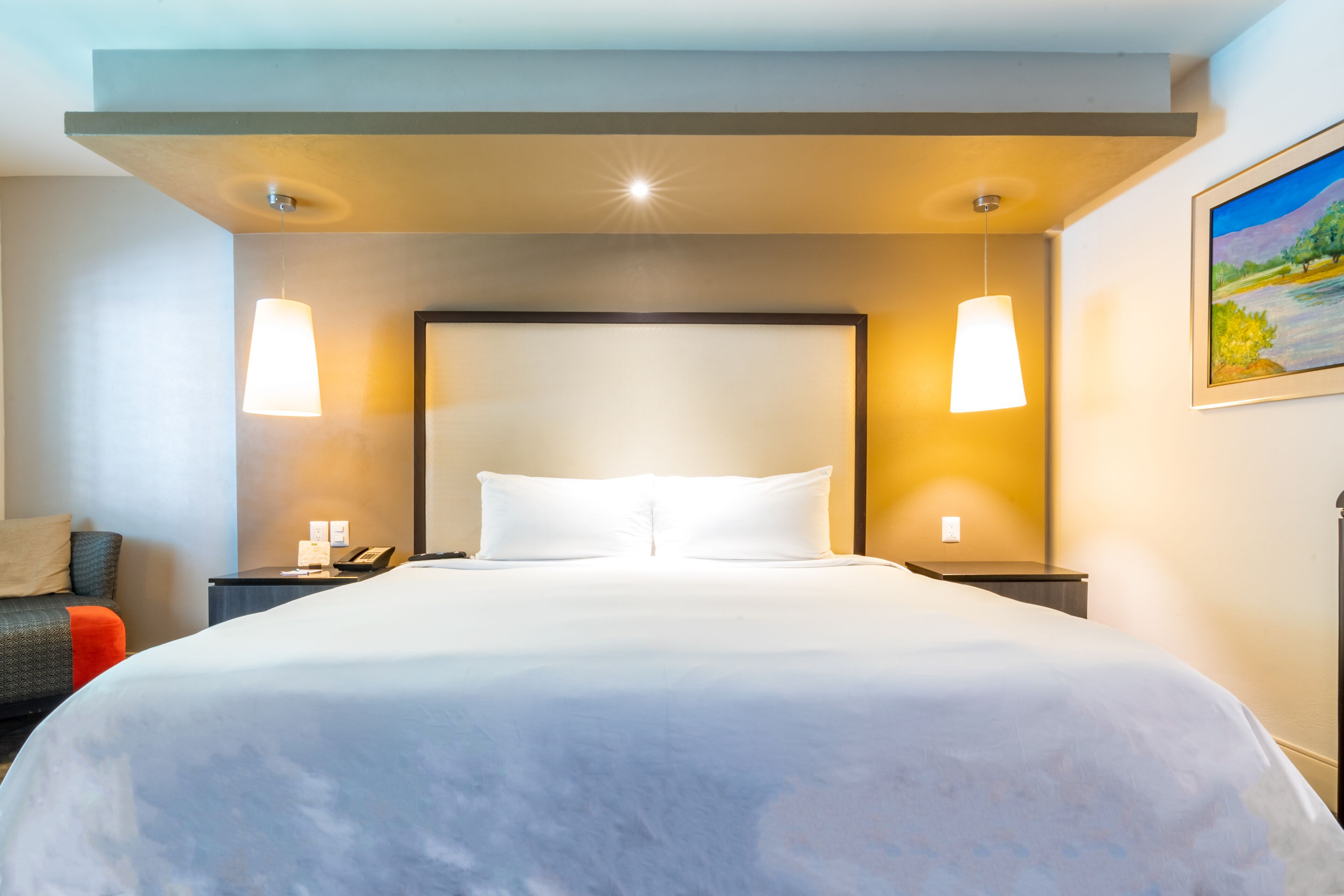 Executive Room, 1 King Bed