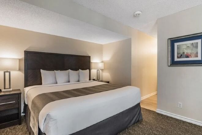 Premium bedding, pillow-top beds, desk, laptop workspace
