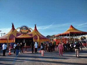 Uklassifisert bilde, 3 av 84, knapp